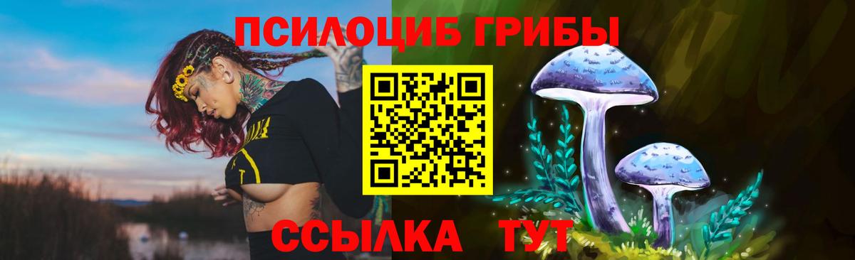 Галлюциногенные грибы прущие грибы  Вход с VPN  Ефремов  Псилоцибиновые грибы ЛСД 