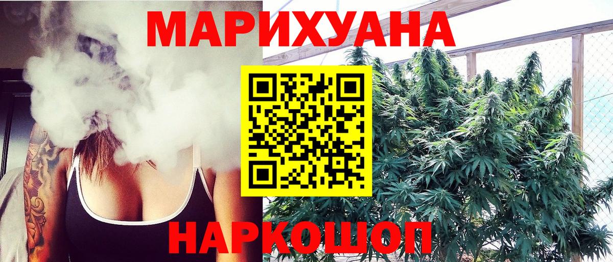 Шишки марихуана план  Конопля AK-47  Вход с VPN  Ефремов  Конопля White Widow 